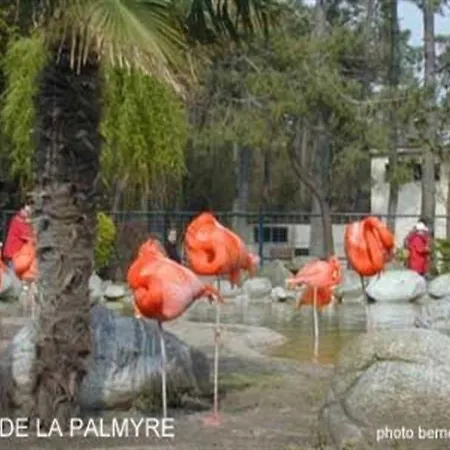 House La Palmyre - Maison Inviduelle-- Calme- Proche Foret - Proximite Plages Et Commerces Par Pistes Cyclables- Ferienhaus *