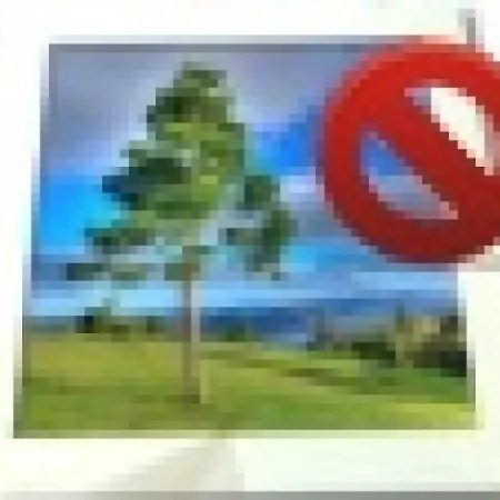 House La Palmyre - Maison Inviduelle-- Calme- Proche Foret - Proximite Plages Et Commerces Par Pistes Cyclables- Les Mathes